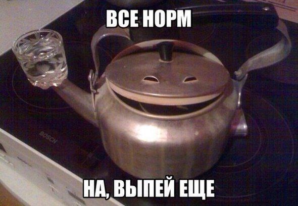 Прикольные картинки (63 фото)