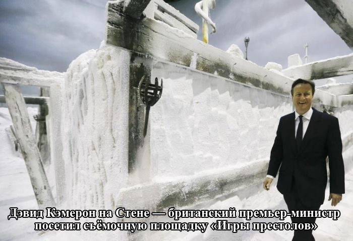 Порция картинок