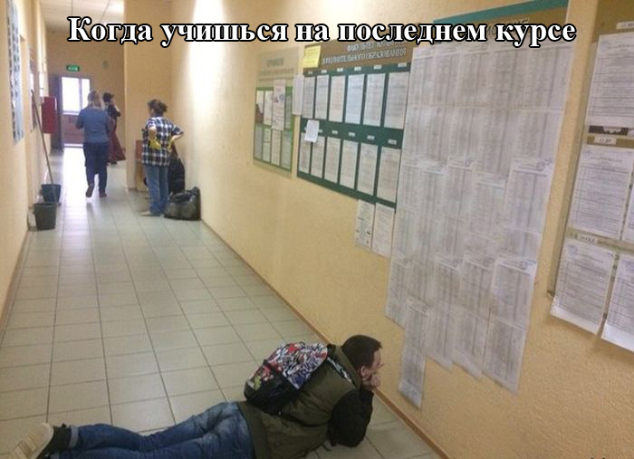 Порция картинок