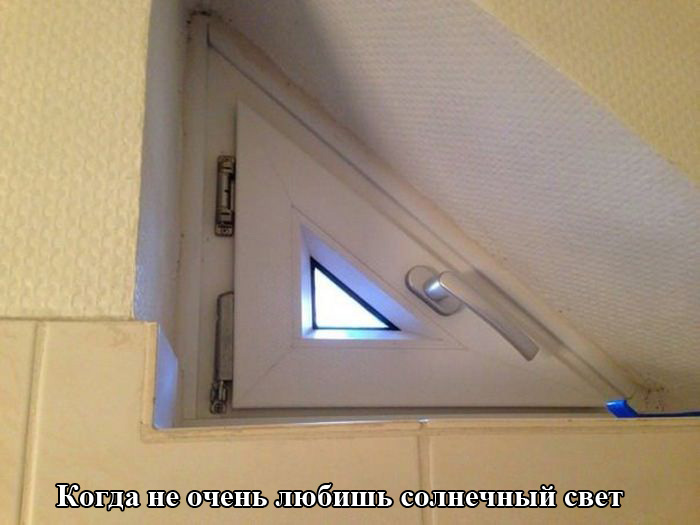 Порция картинок