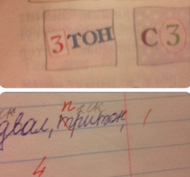 Порция картинок