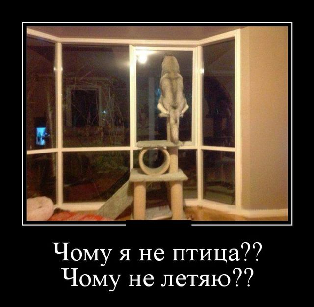 Демотиваторы