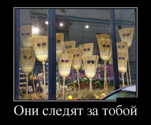 Демотиваторы