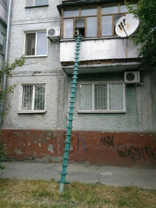 Смешные и странные фото с наших просторов