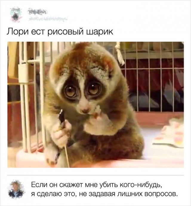 Юмор из социальных сетей
