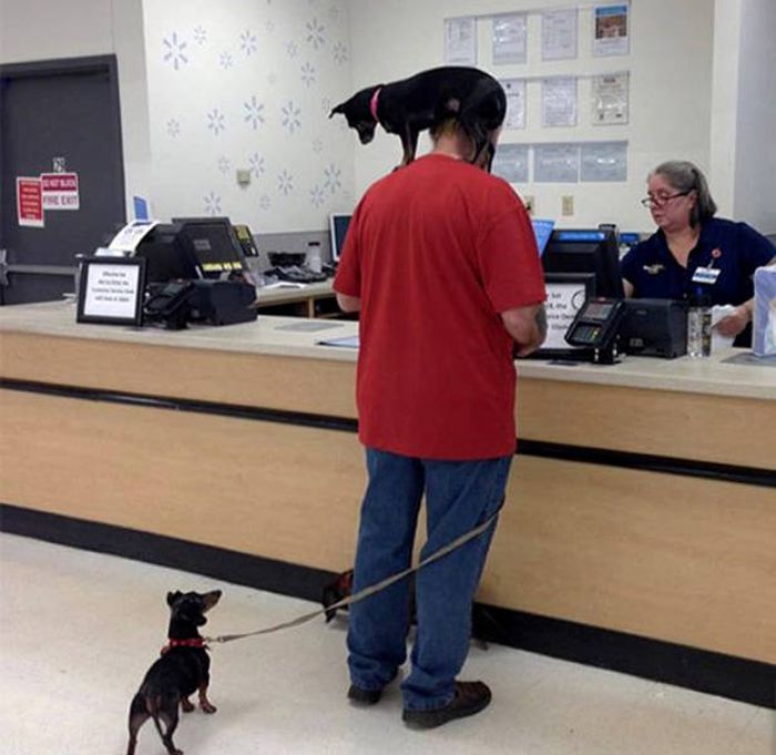 Люди, которым плевать на все