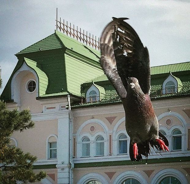 Подборка картинок
