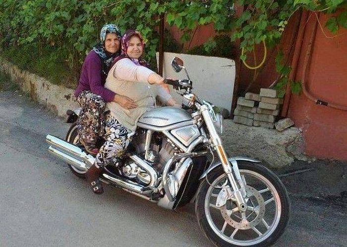 Прикольные картинки