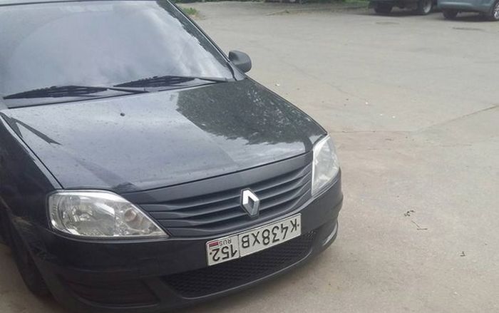 Прикольные картинки