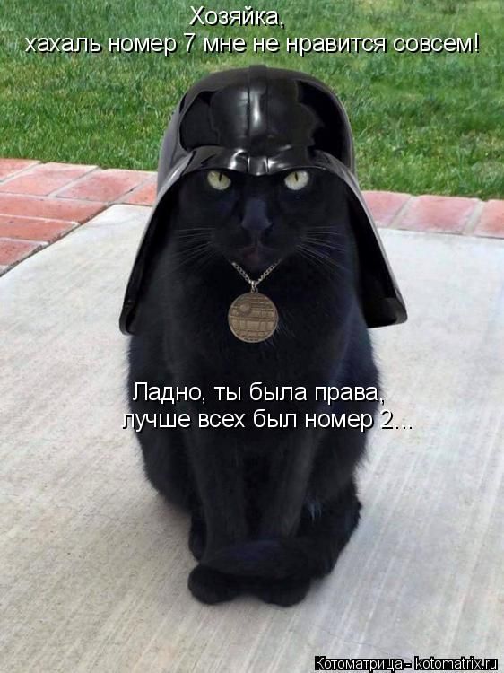 Лучшие котоматрицы недели