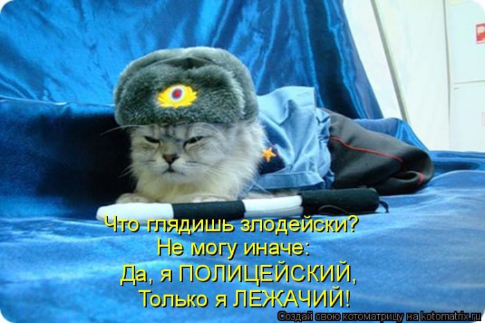 Лучшие котоматрицы недели