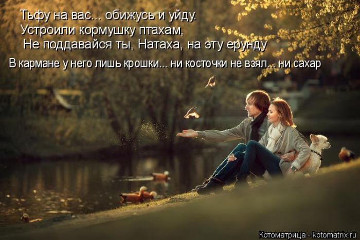 Лучшие котоматрицы недели