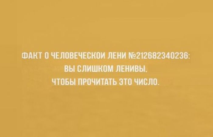 Интеллектуальный юмор