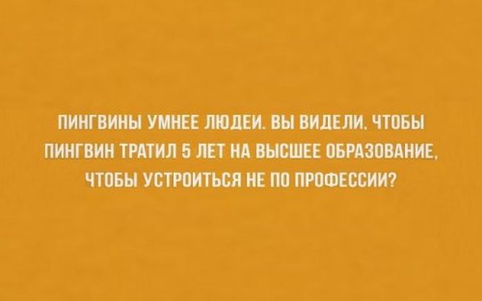 Интеллектуальный юмор