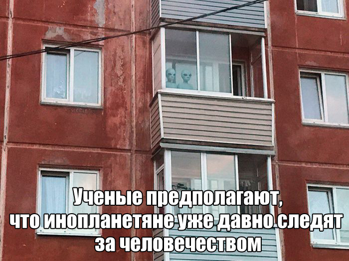 Прикольные картинки