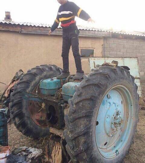 Прикольные картинки