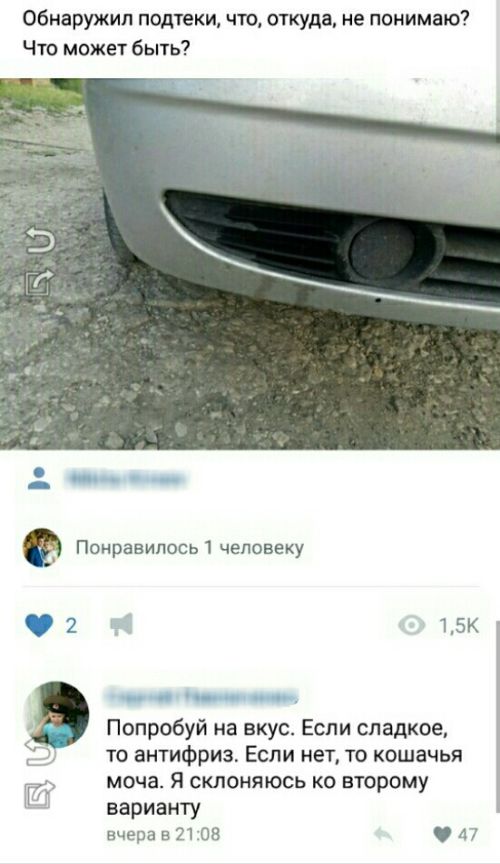 Прикольные картинки