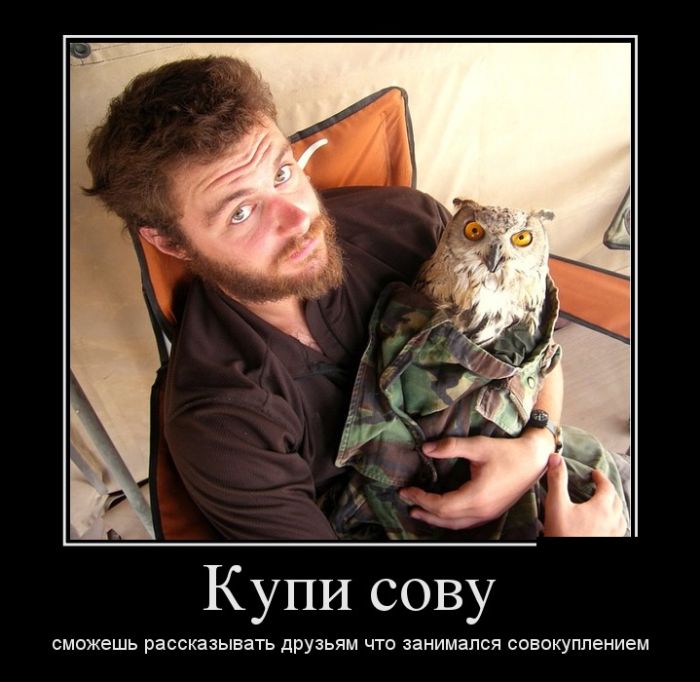 Демотиваторы