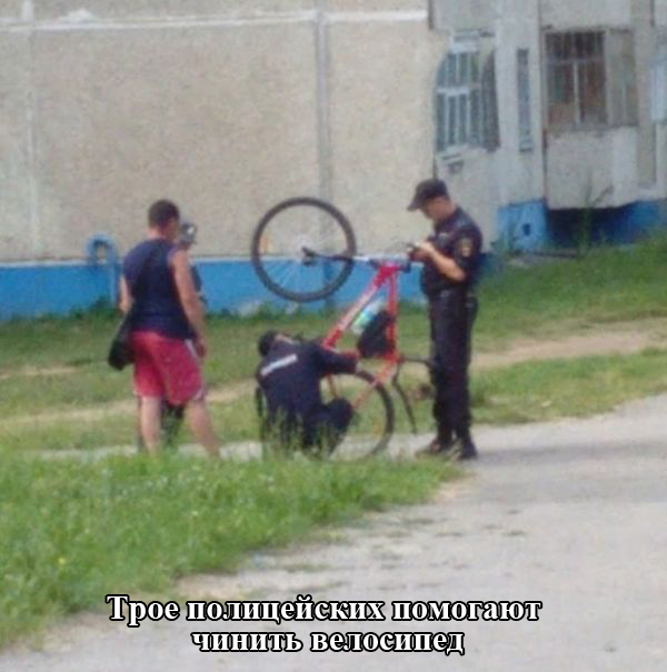 Порция картинок