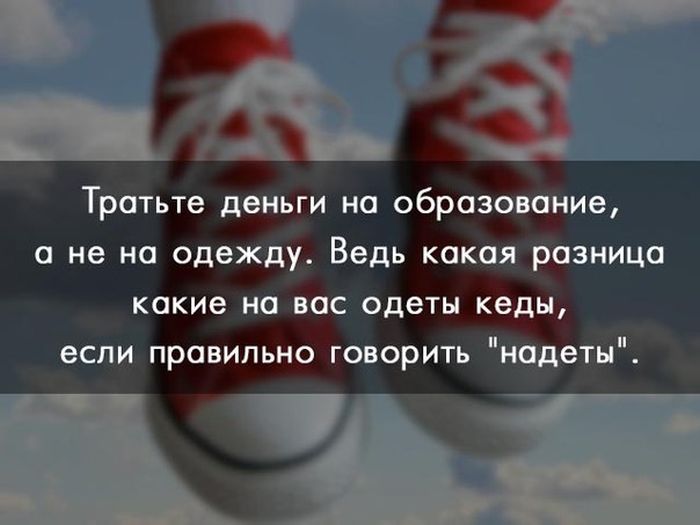 Порция картинок
