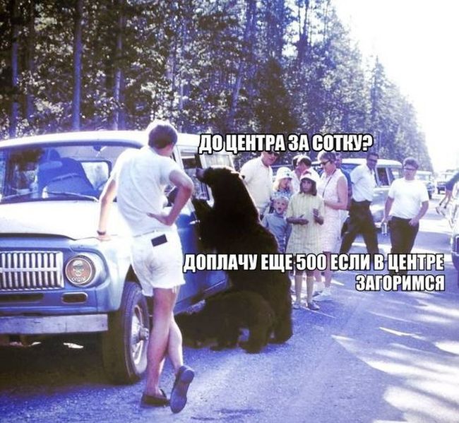 Порция картинок