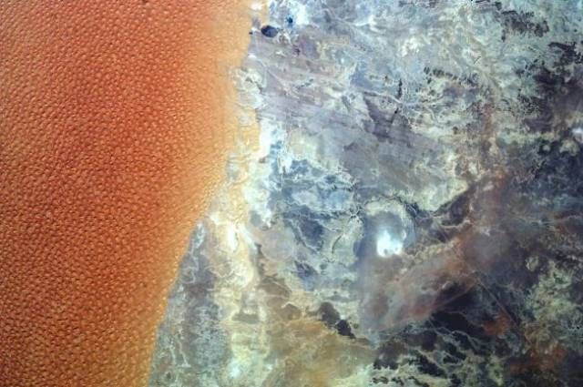 NASA радует фанатов космоса свежими снимками