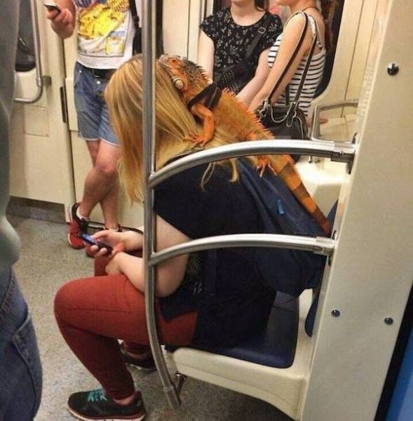 Странности в метро