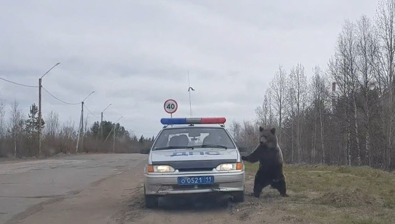 Удивительные снимки с российских просторов
