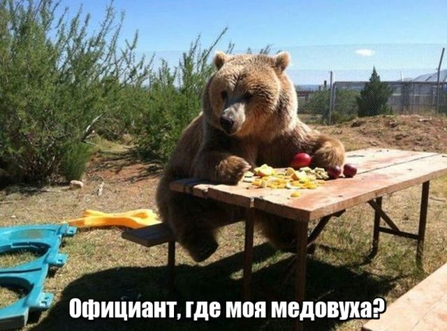 Прикольные картинки