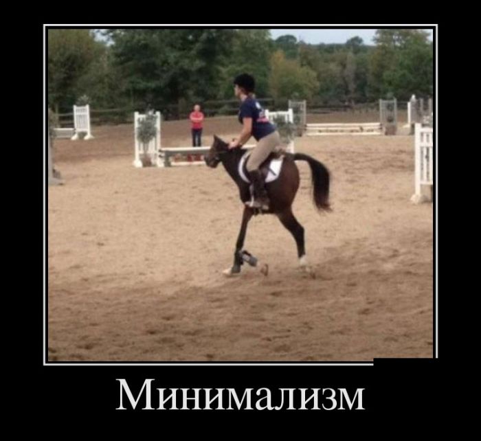 Демотиваторы