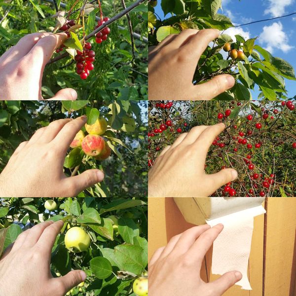 Прикольные картинки