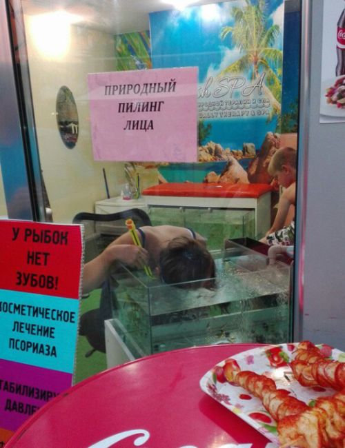 Прикольные картинки