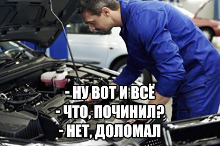 Прикольные картинки