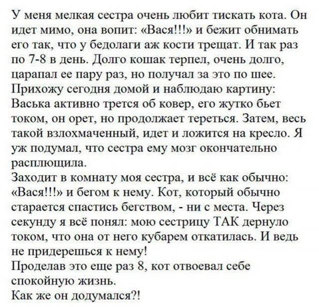 Юмор соцсетей