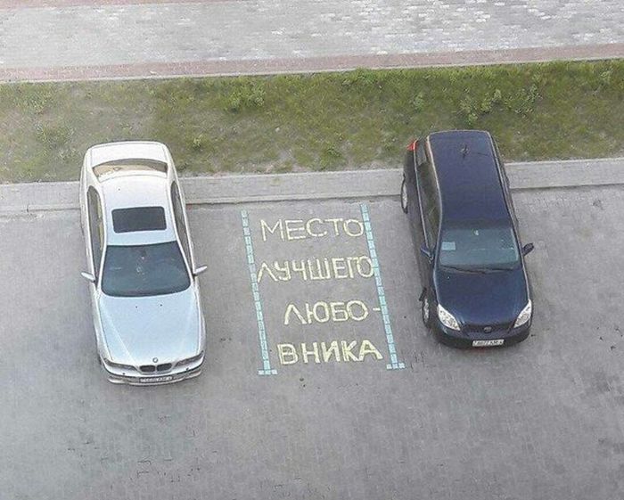 Прикольные картинки
