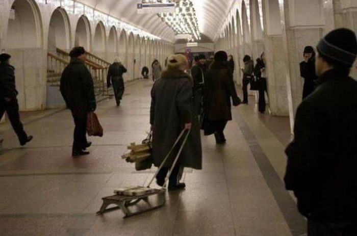 Прикольные картинки