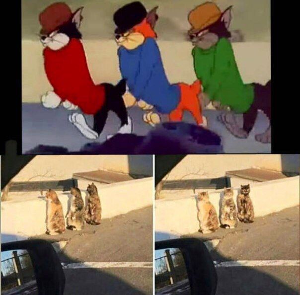 Прикольные картинки