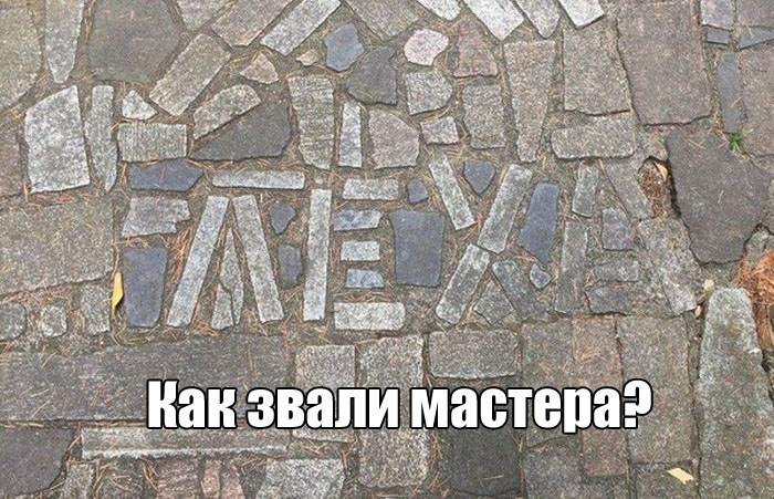 Прикольные картинки