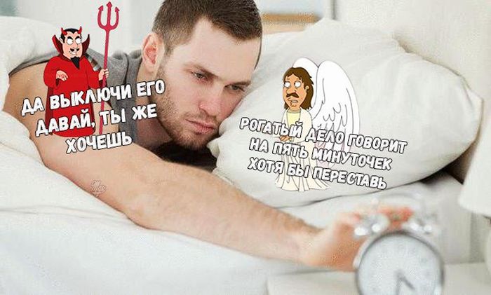 Прикольные картинки