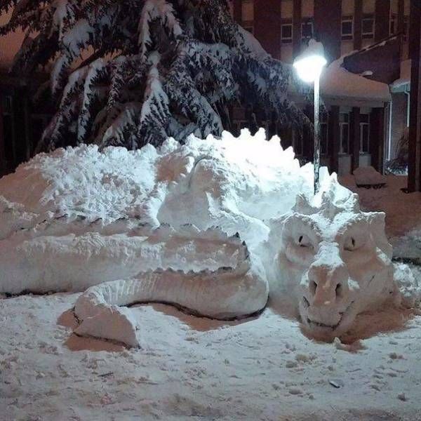 Прикольные картинки