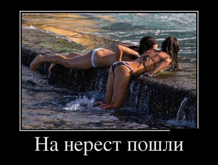 Демотиваторы