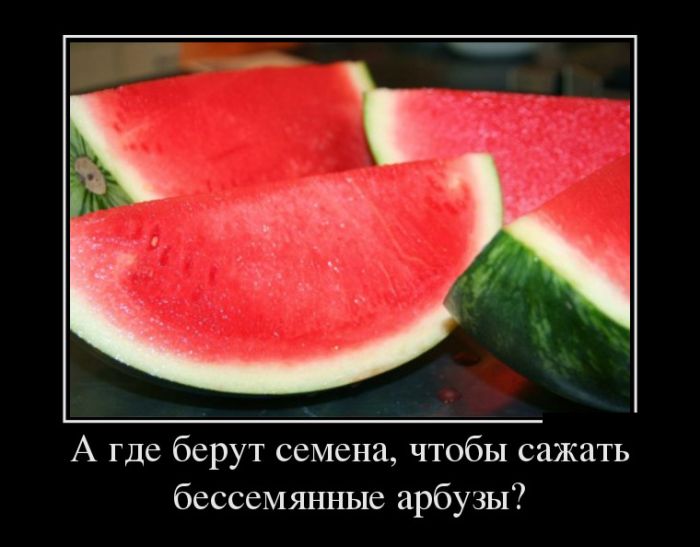 Демотиваторы