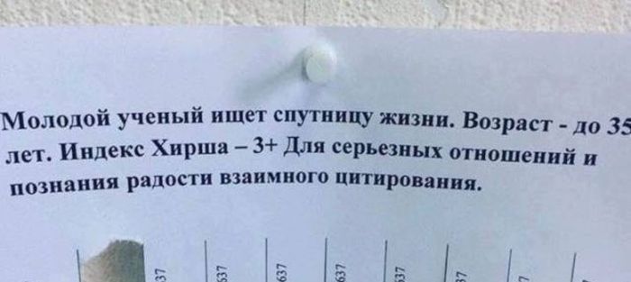В поисках второй половинки