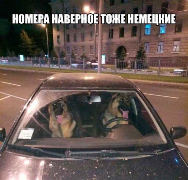 Крутые автоприколы
