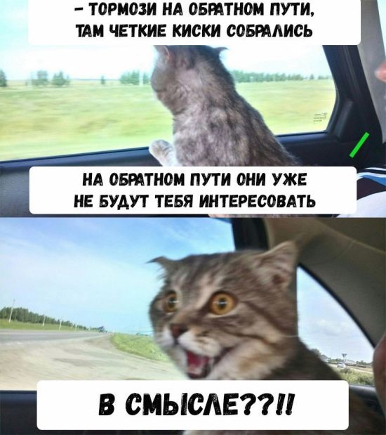 Смешные комиксы