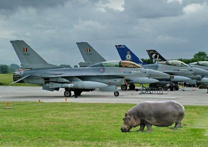 Армейские приколы