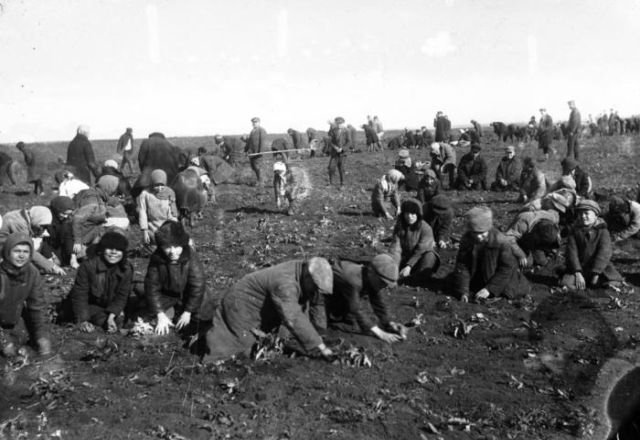 Интересные фотографии и события из прошлого