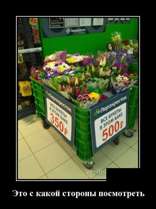 Демотиваторы