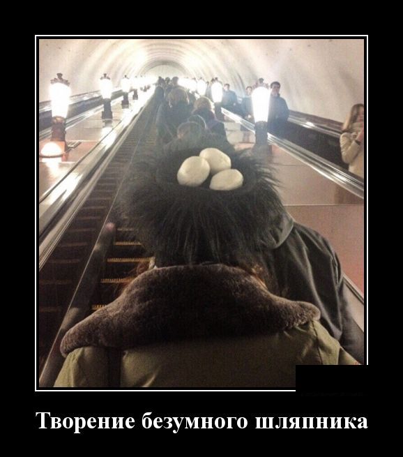 Демотиваторы