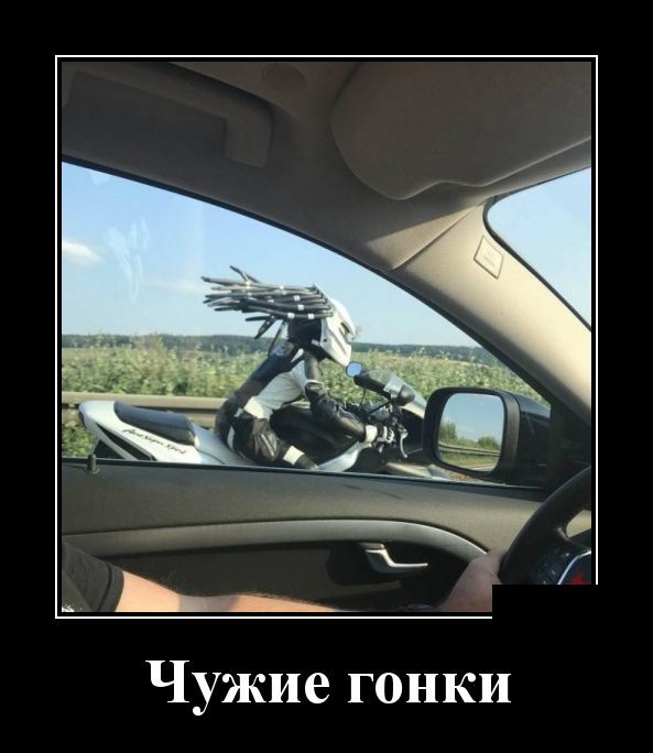 Демотиваторы